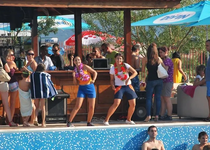 Harmony Hills Tomovi C44 *